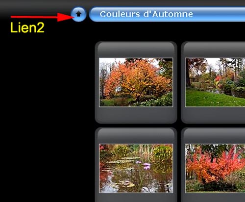 Celui ci ne fonctionne plus sous IE7