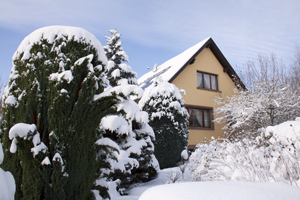 Un peu de neige (de l'année dernière)