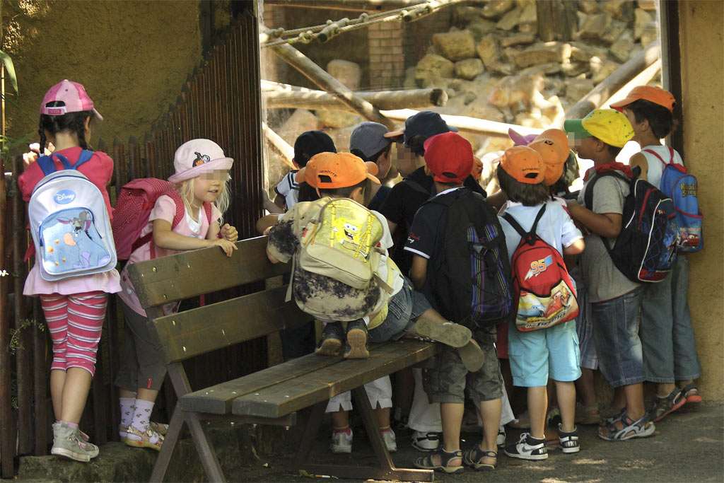 Public-zoo.jpg