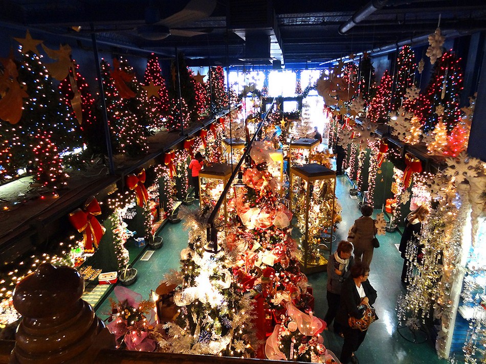 DSC01250 (Copier).JPG