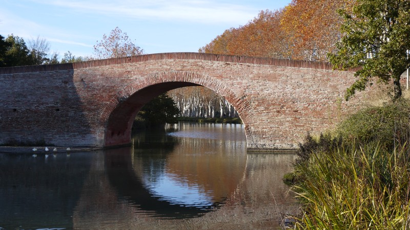 Copie de P1010221.JPG