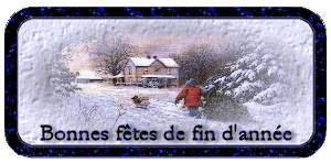 finannee3.gif