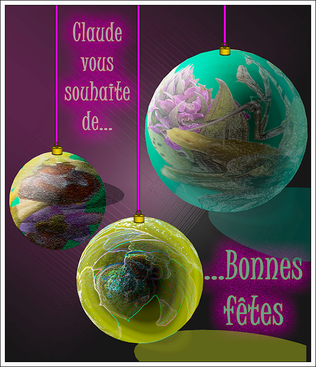 Orchidees_boules_Claude.jpg