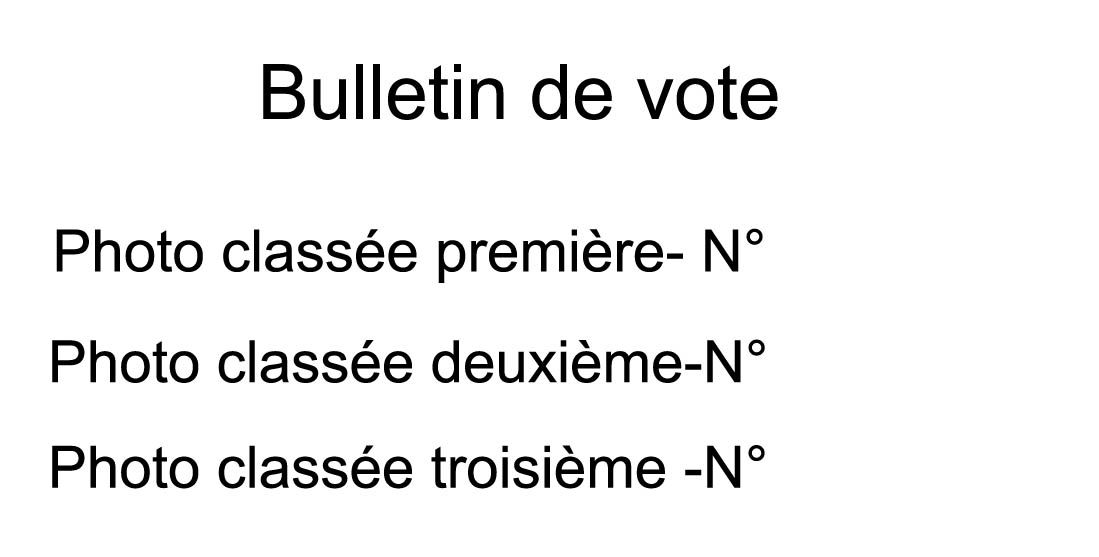 Bulletin de vote.jpg