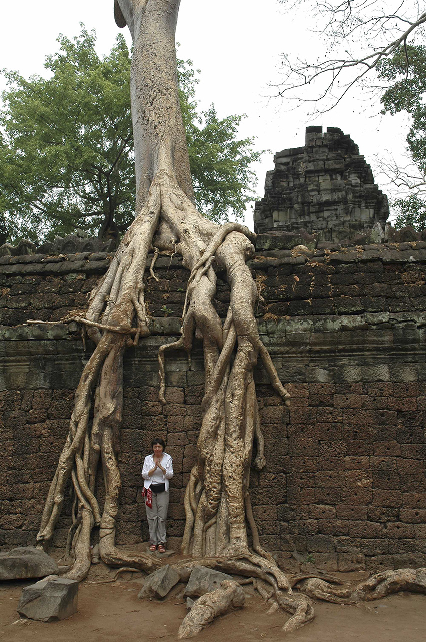 Ta prohm_4588-GM.jpg