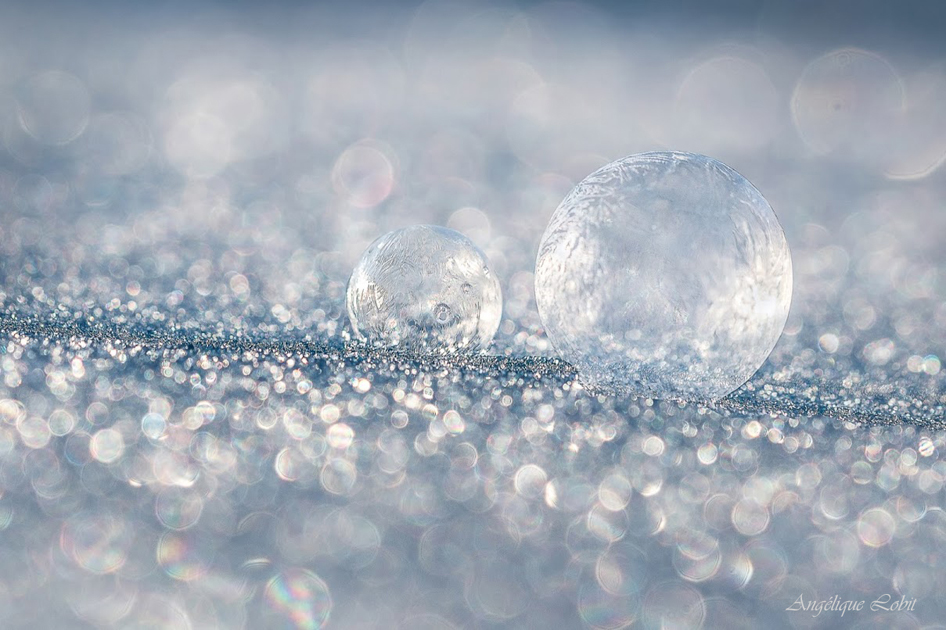 Angélique Lobit.jpg