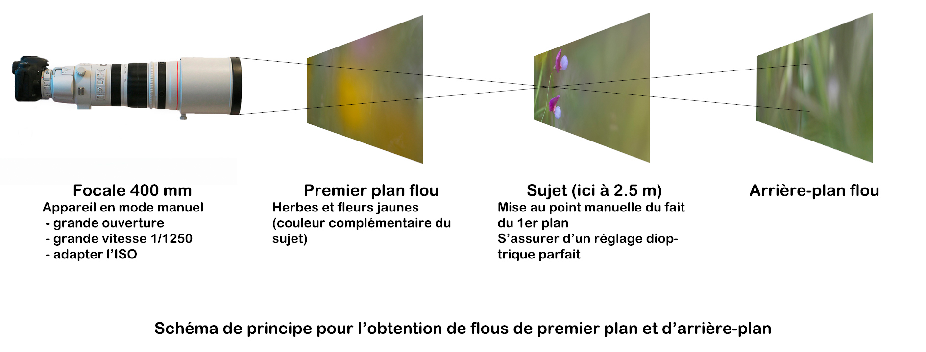 Flous 1er et arrière-plan.jpg