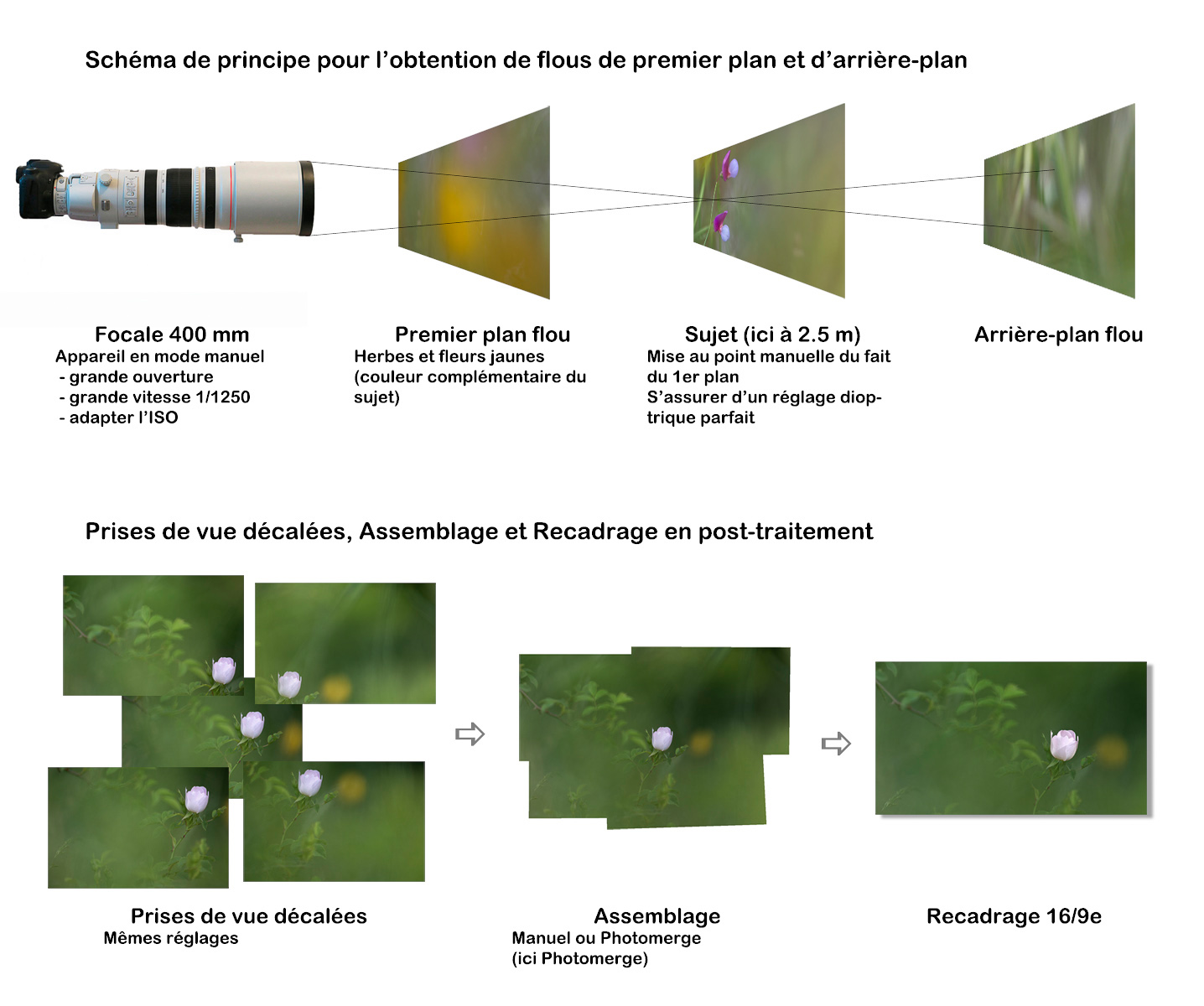 Flous 1er plan, arrière-plan et assemblage.jpg