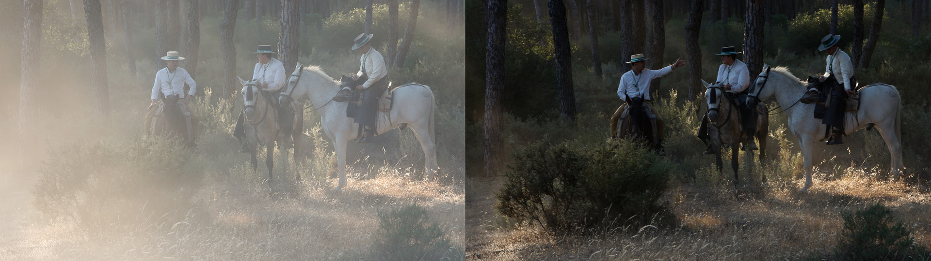 Avec et Sans Poussière_D.jpg