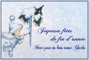 glaçon Charles  .jpg