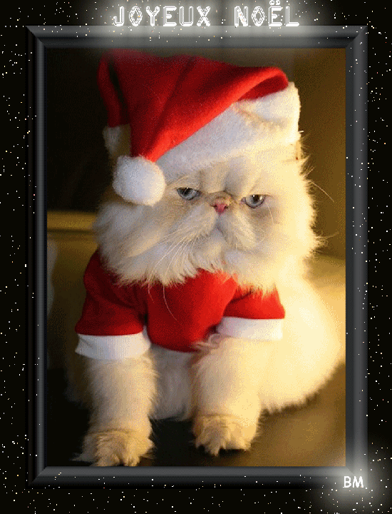ChatNoël 123.gif