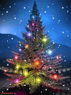 Sapin neige.gif