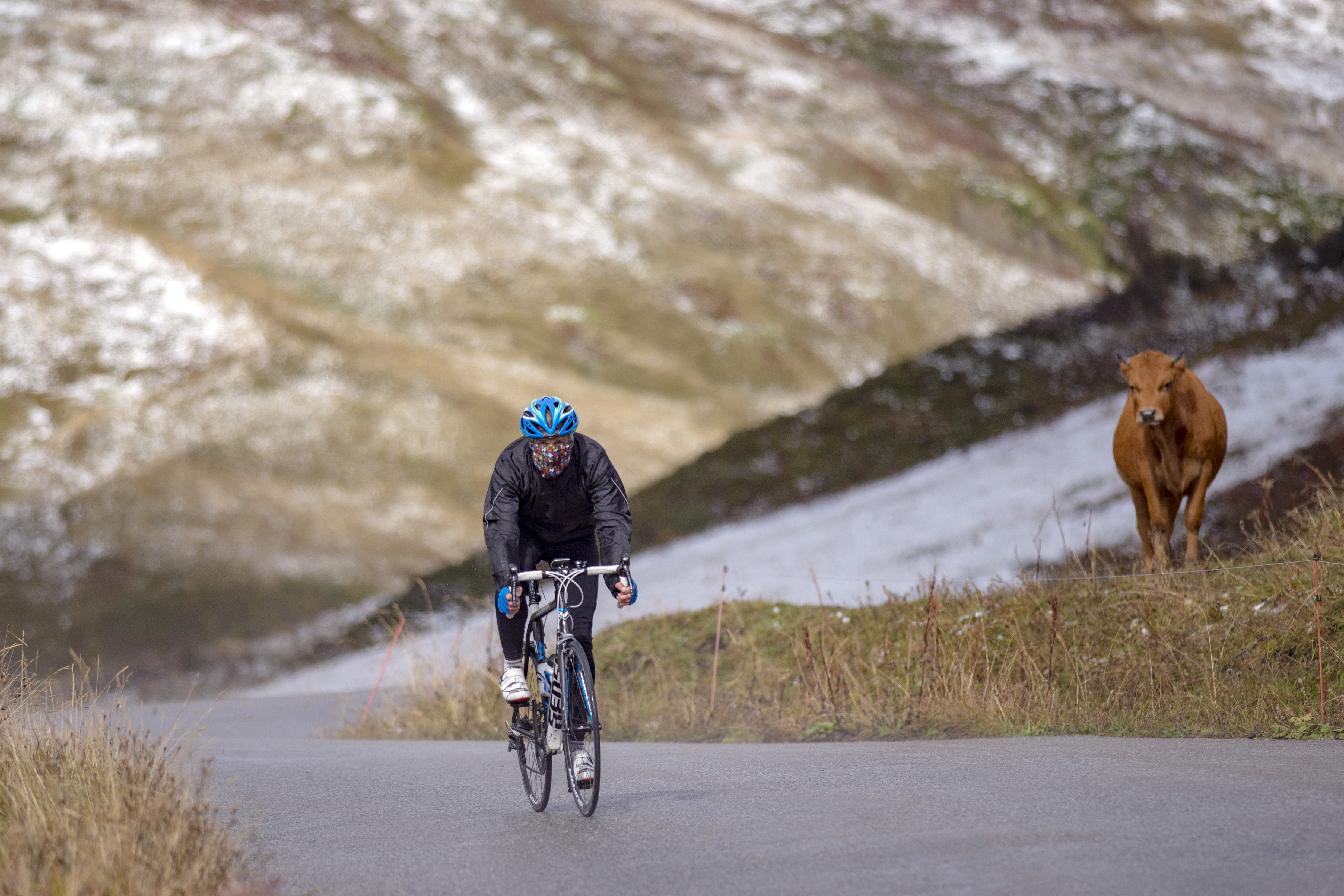917_9641 roselend tarine cycliste 18 09 2017.jpg
