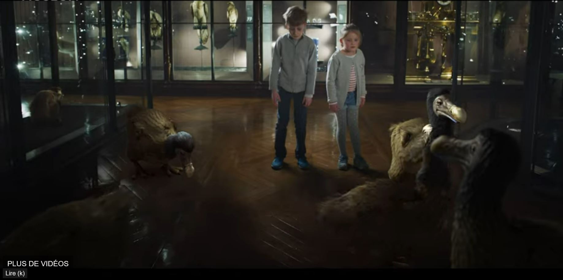 Rencontre Dodo.JPG