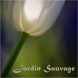 Jardin Sauvage.jpg