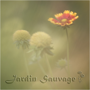 Jardin Sauvage II.jpg