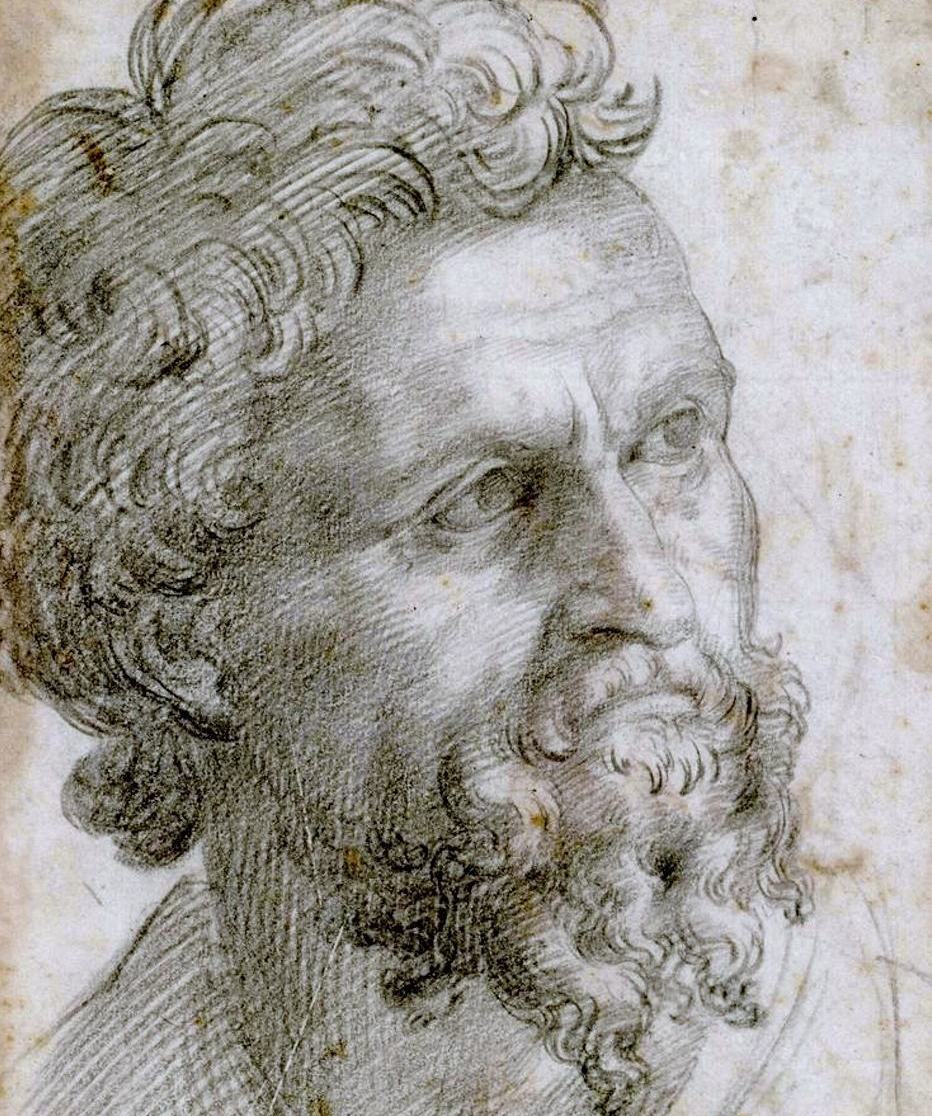 Portrait_of_a_bearded_man._Cellini,_Benvenuto.jpg