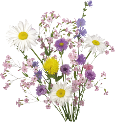 Bouquet.png