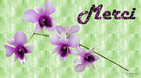 MERCI.gif
