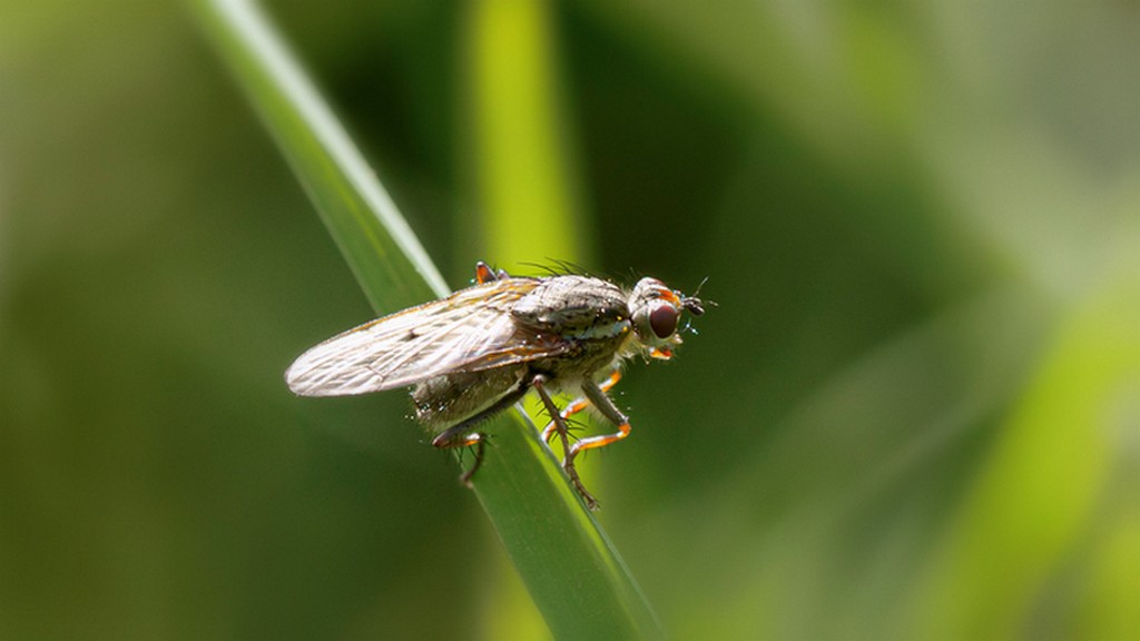 image de départ.jpg