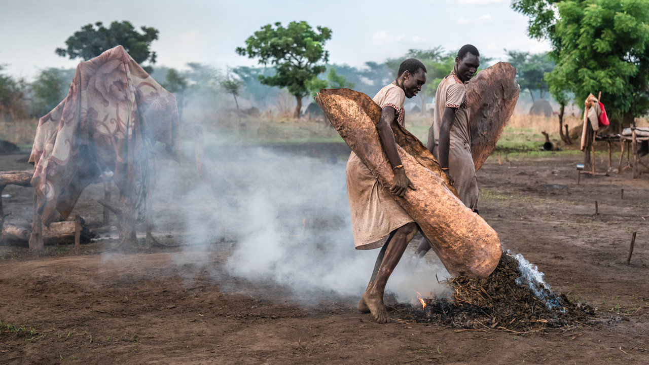 Ce ne sont pas des jumeaux.jpg