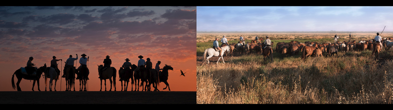 Lever de soleil et départ du 1er troupeau pour la traversée du parc.jpg