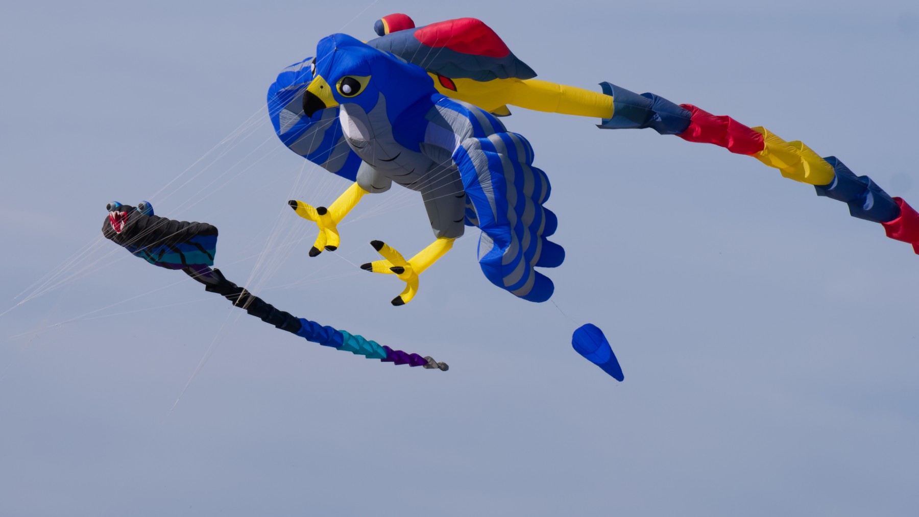 013 Cerf-volant 013 - 2025-04-12 11-17-50D.jpg